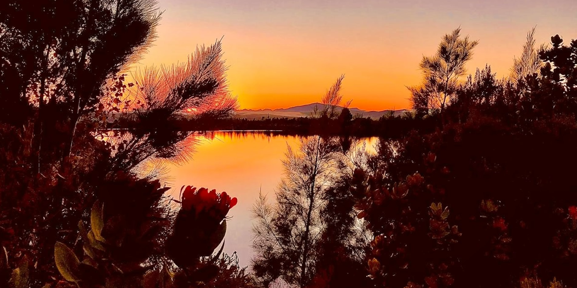 Sunset over the dam at Barton Vineyards, Bot River